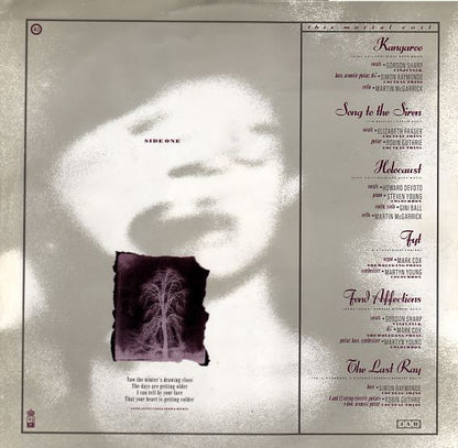 This Mortal Coil : It'll End In Tears (LP, Album)