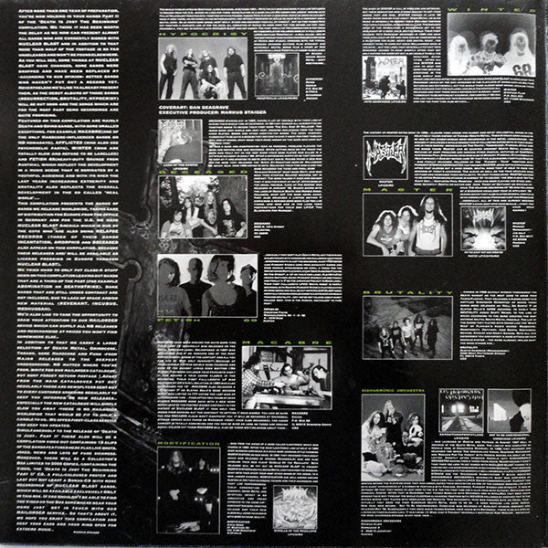 Various : Death .... Is Just The Beginning II (LP, Blu + LP, Gre + Comp)