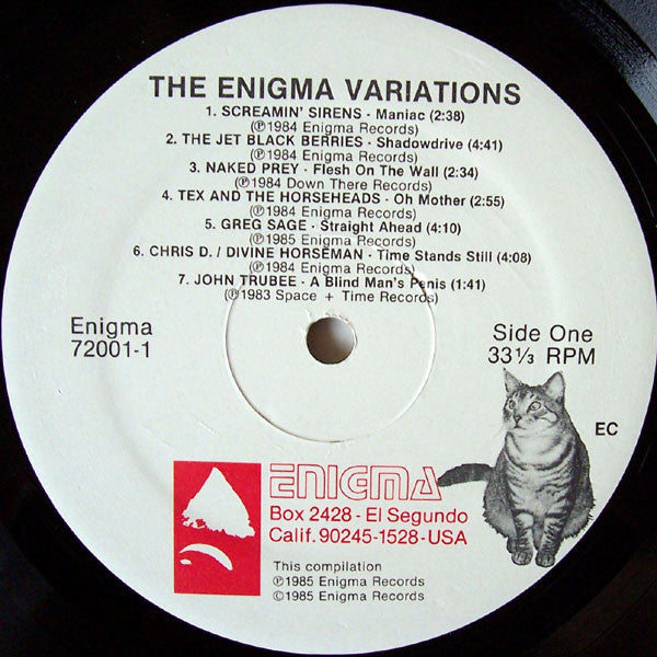 Various : The Enigma Variations (2xLP, Comp)