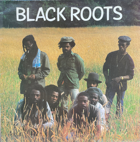 Black Roots : Black Roots (LP, Album)