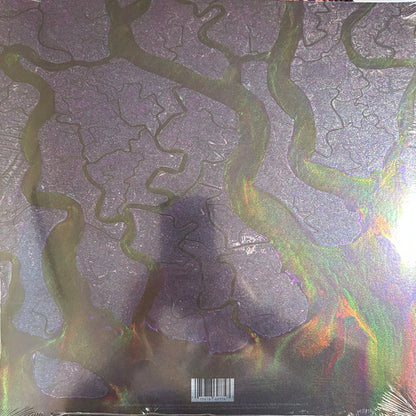 alt-J : An Awesome Wave (LP, Album, RE, Pur)