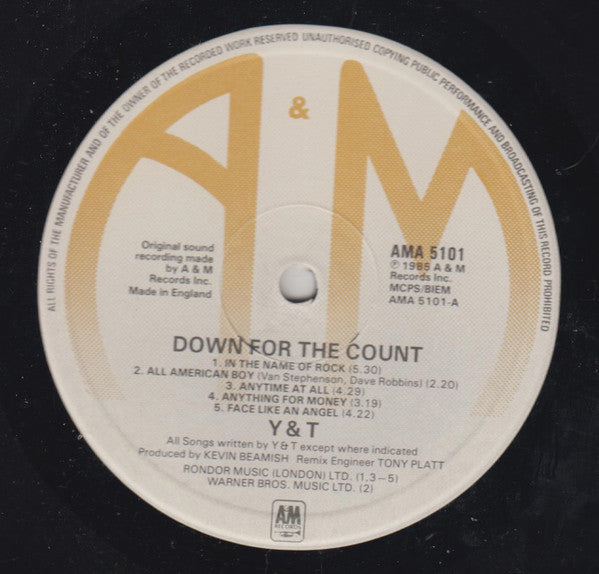 Y & T : Down For The Count (LP, Album)