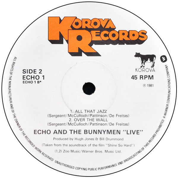 Echo & The Bunnymen : Shine So Hard (12", Single)